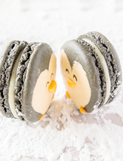 penguin macarons by raspberri cupcakes