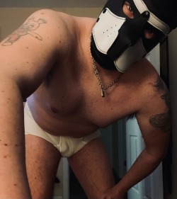 country-pup1-deactivated2023013:Throwback Thursday featuring my first pup hood I ever owned 🥰