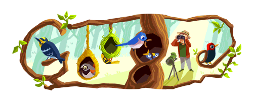 brilliantbotany:  thebrainscoop:  coolchicksfromhistory:  Google Doodle celebrating the birthday of American birder Phoebe Snetsinger (1931-1999).  Phoebe documented   8,398 different species of birds, more than any other researcher or hobbyist.  And