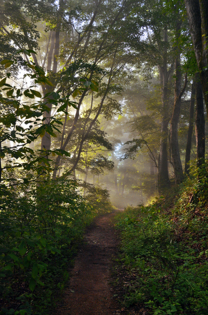 sublim-ature:  Upper Buffalo Wilderness, ArkansasJeff Rose