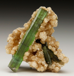 bijoux-et-mineraux:  Elbaite and Muscovite