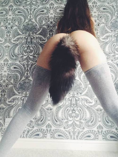 cherubesque:do you like my fox tail? twitter.com/cherubesque