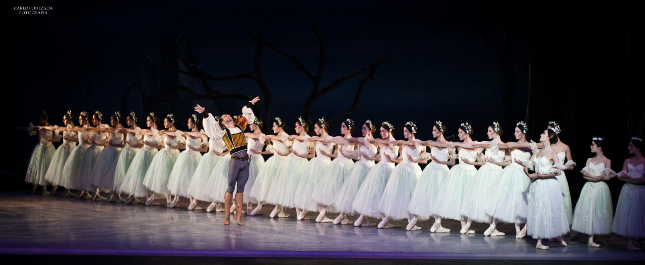 carlosquezadaph:  Compañía Nacional de Danza . México  Giselle . Willis Corps