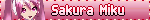 sakura miku