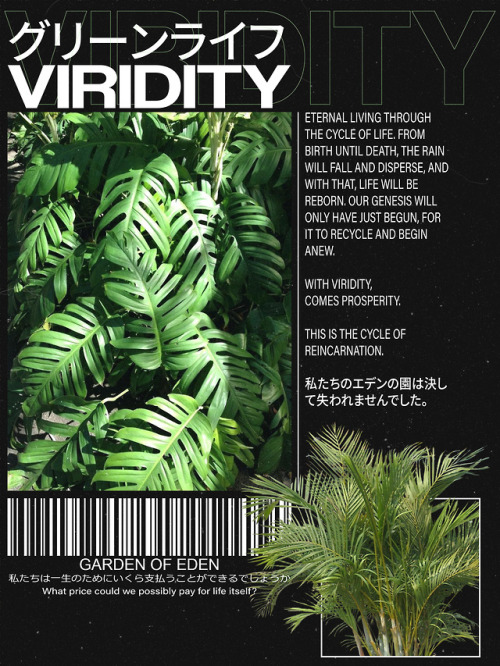VIRITDITY