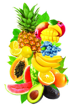 Littlealienproducts:  Fruit Mix Collage, 13X19 Print By Chari Design Studio See The