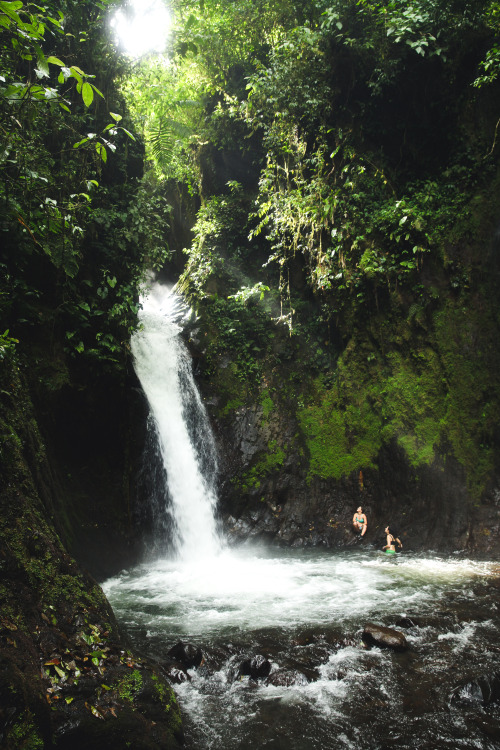 eartheld: n-c-x: exhalate: jonahreenders: Penas Blancas River | Costa Rica By: Jonah Reenders nature