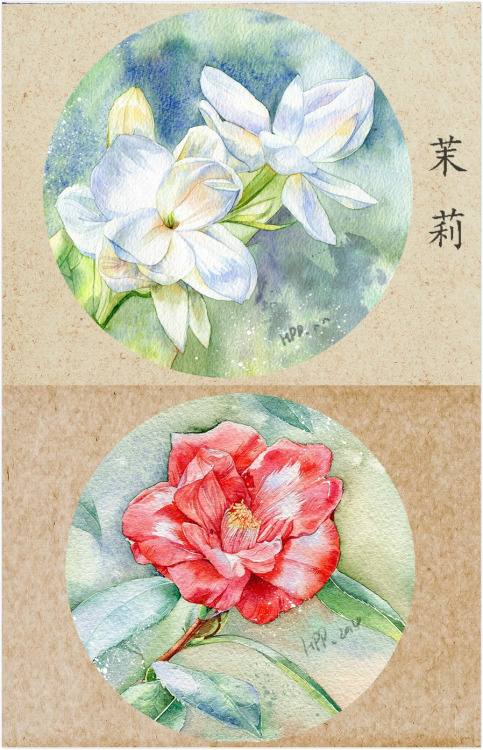 Watercolor flowers by Chinese illustrator 豪屁屁PP