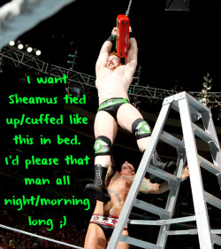 wrestlingssexconfessions:  I want Sheamus tied up/cuffed like this in bed. I’d please that man all night/morning long ;)   Kinky sex with Sheamus would be so hot!
