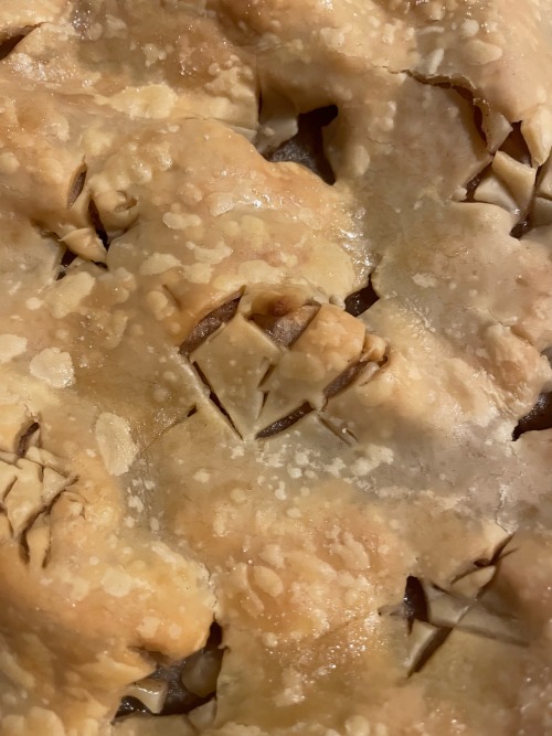 Grandmas Apple Pie Recipe