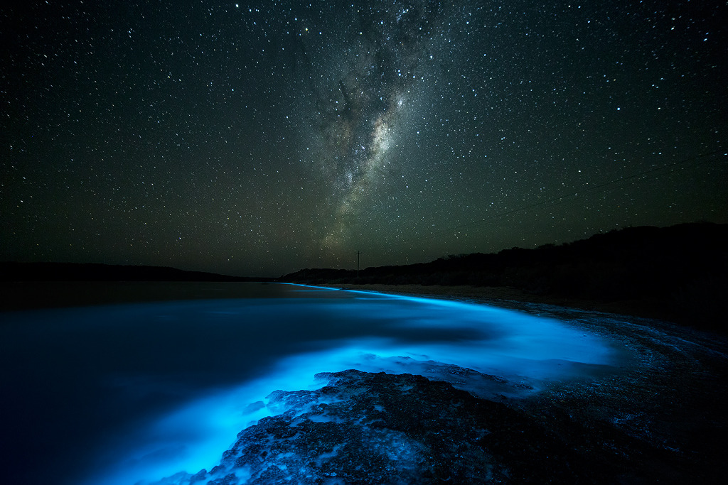 nubbsgalore:  though beautiful, these fluorescent blue patches of water are an indicator