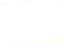 fireferretfuzzies:  Line Test V Final Animation Book 2 
