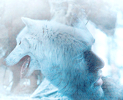deadrobb:  Kill the boy, Jon Snow. Winter is almost upon us. Kill the boy and let