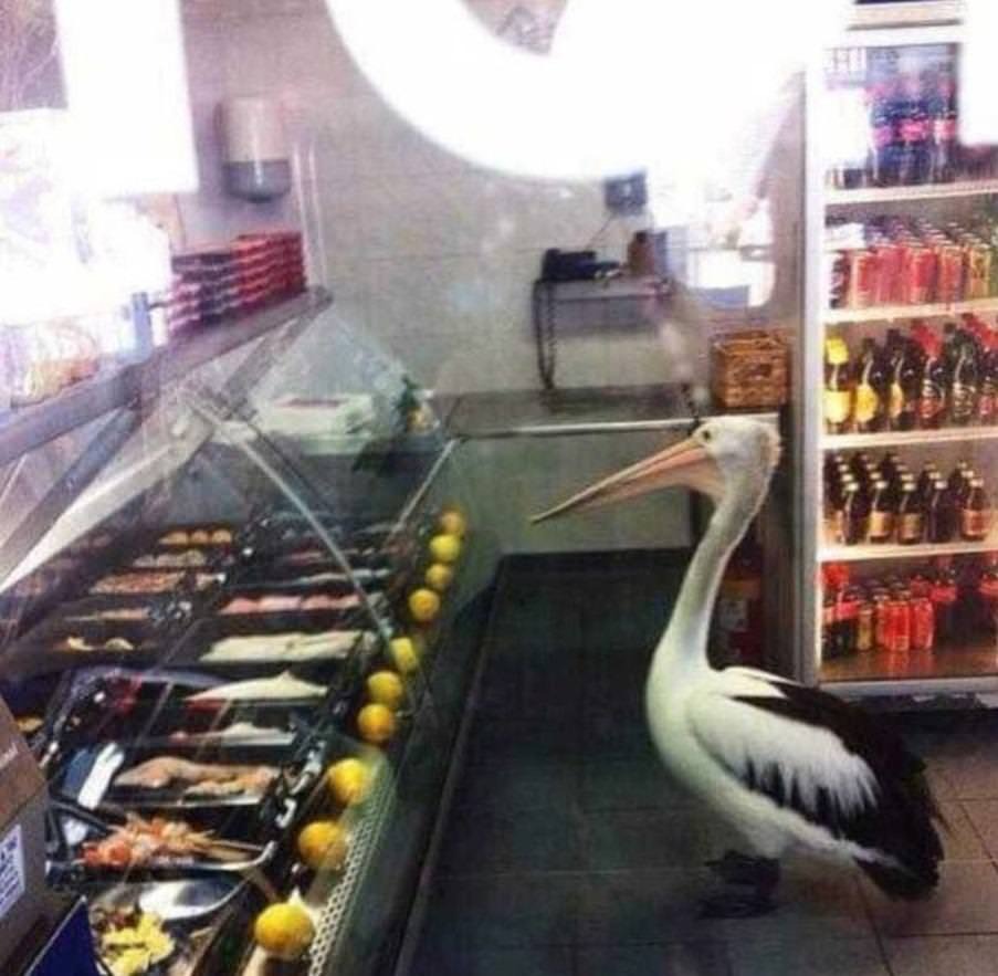 picsthatmakeyougohmm:  hmmm