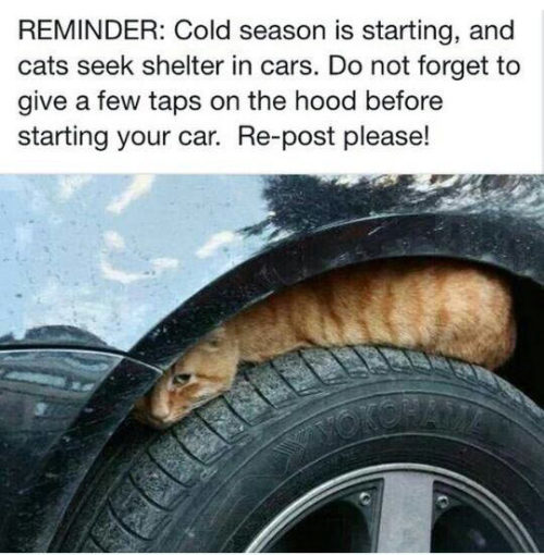 srsfunny:  A Simple Reminder For Cold Dayshttp://srsfunny.tumblr.com/ 