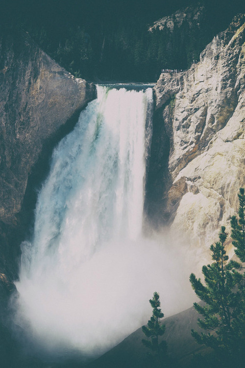 tooweirdto-live-toorareto-die:  ▲