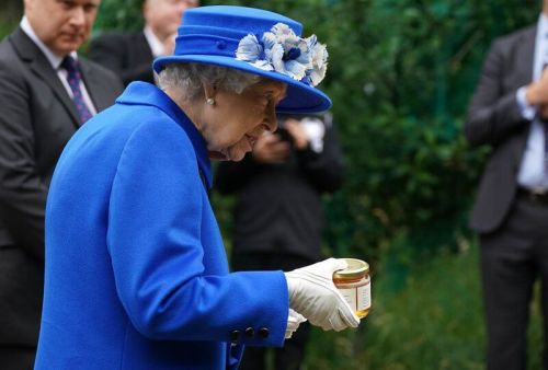 Queen Elizabeth and Princess Anne visited Glasgow in Scotland.On Wednesday, Princess Anne joined Que