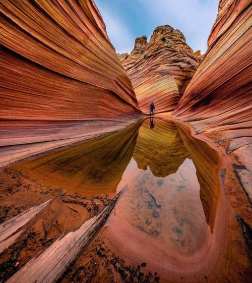 artofvizuals:  seanstumblingthrough "Glass Floor"   The Wave | Coyote Buttes North | Arizona   