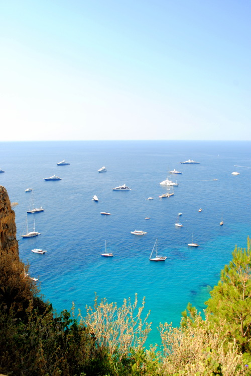 hypnotic-poison:  Capri 