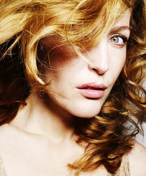 Porn Pics qilliananderson:Gillian Anderson 2008.