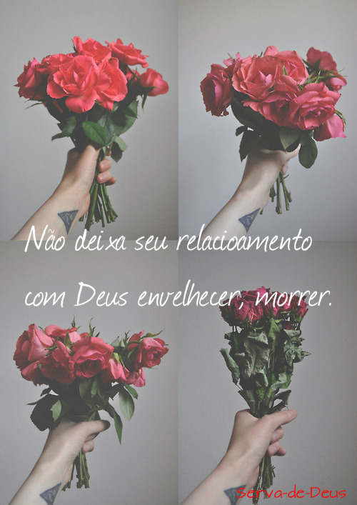 Propósitos de Deus