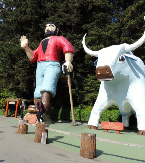 Paul Bunyan &amp; Babe the Ox, Trees of Mystery, Klamath, California, 2014.Good to see that a few of