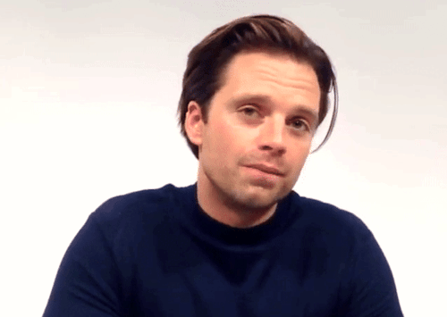 Happy 42nd Birthday, Sebastian Stan! 
