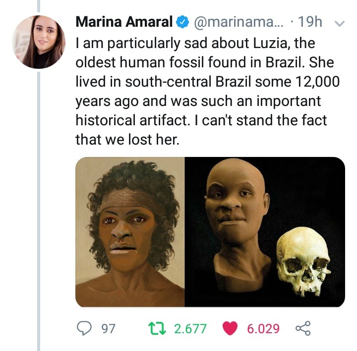 holybolognajabronies:  ramenuzumaki:   This happened yesterday in Brazil and I’m