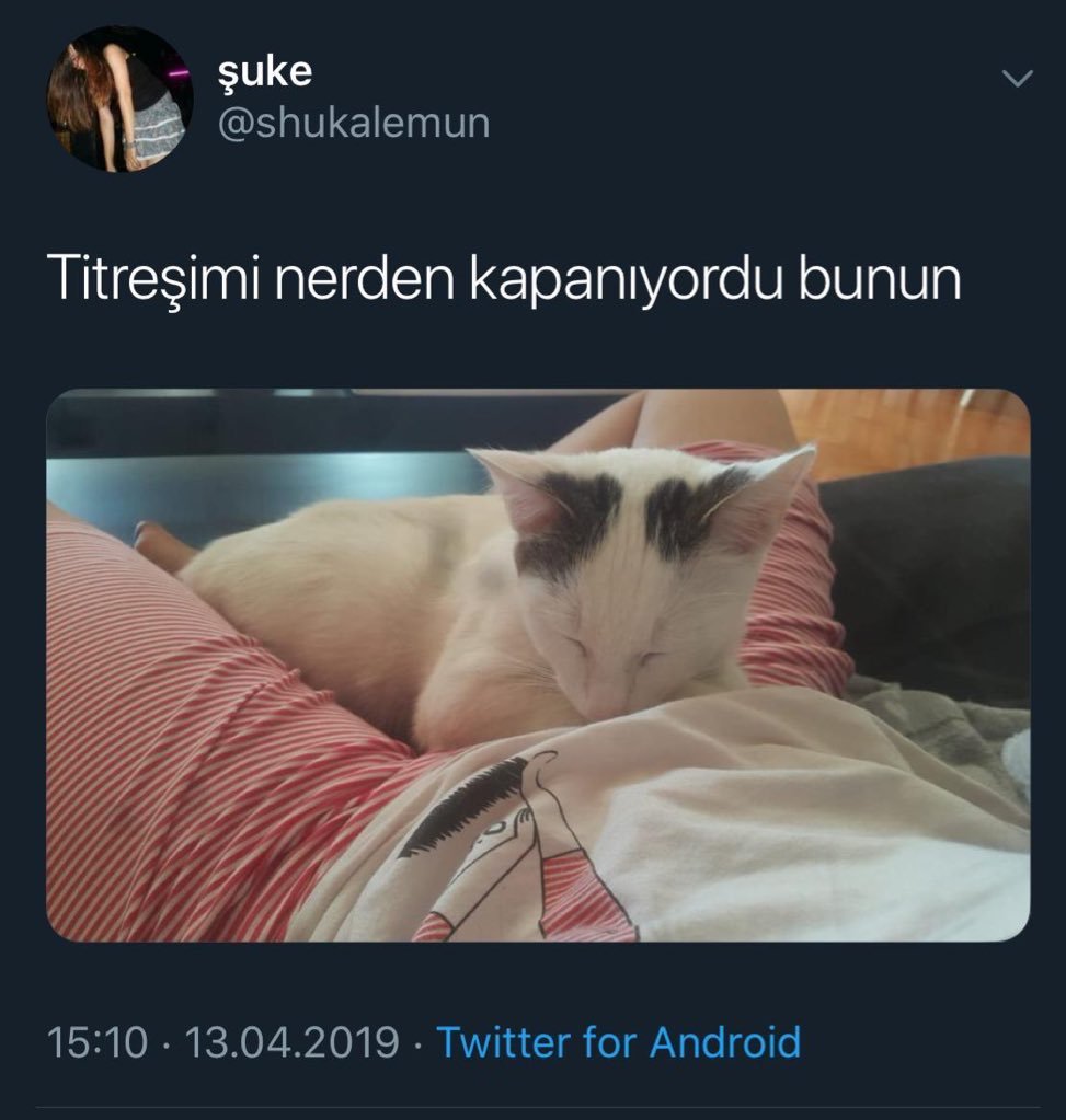 şuke @shukalemun Titreşimi...