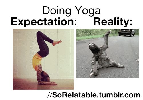 twobottlesofwhisky:  *giggles*  yup. man i wish there were decent yoga places around here