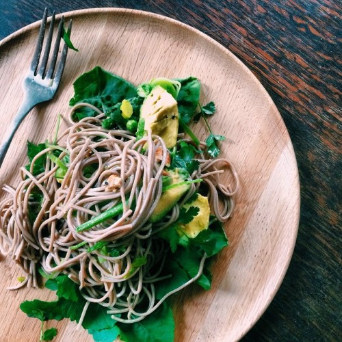 soba noodles with rocket, radish and herbs from the garden, rocket flowers, avocado, wild onion, pea