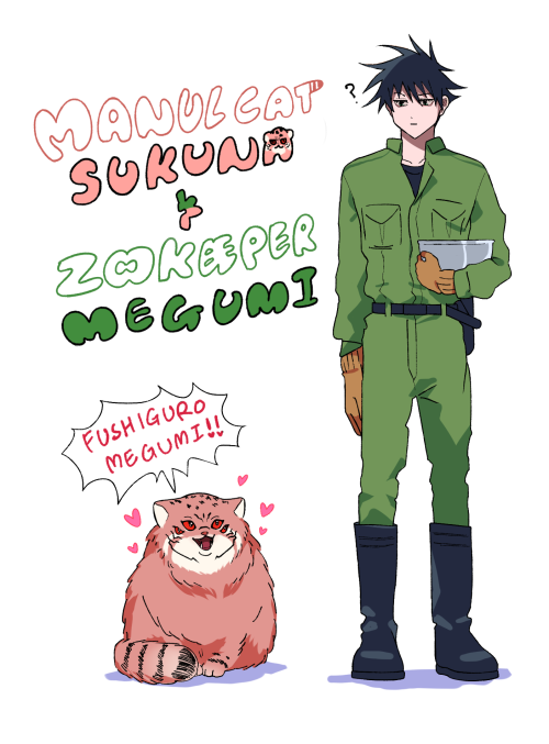 LISTEN,,,,sukuna would be perfect as a manul cat