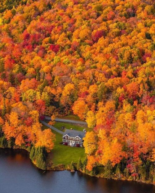 legendary-scholar:  New Hampshire.