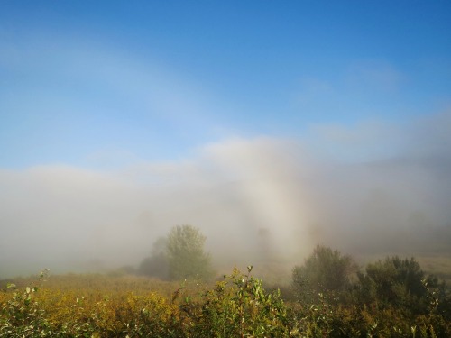 At one point the fogbow came close to turning into a rainbow.Some of you probably wish you could vis
