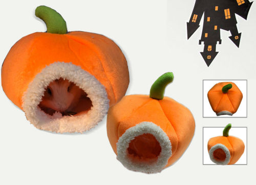 Images of a soft/plush pumpkin-shaped hamster hideout taken from ebay (depicted resident hamster not