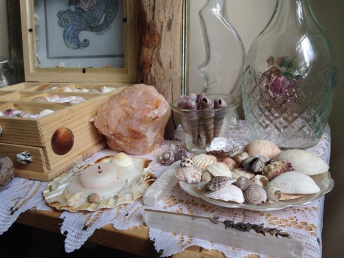 lavenderwaterwitch: ~ my lovely mermaid altar ✨