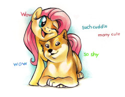 blindskywatcher:  neongecko06:  Flutterdoge