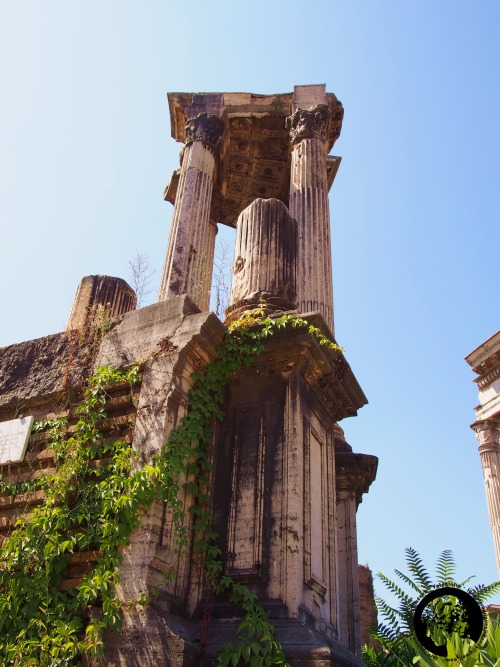 thesilenceofthemarble:Temple of Vesta, Roman Forum, rome, Italy.