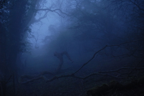 buron:Voyage dans la Brume Fluorescent (xxxvi)©buron - November ‘13
