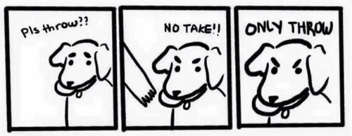 c0mmencement:  bleutempete:  Dog logic  THIS IS MY FAVORITE THING IN THE WHOLE WORLD 