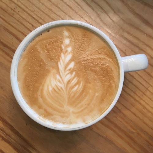 some latte art from the past couple days porn pictures