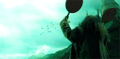 laufeysohn:  Harry Potter gifspam  Goblet of Fire 