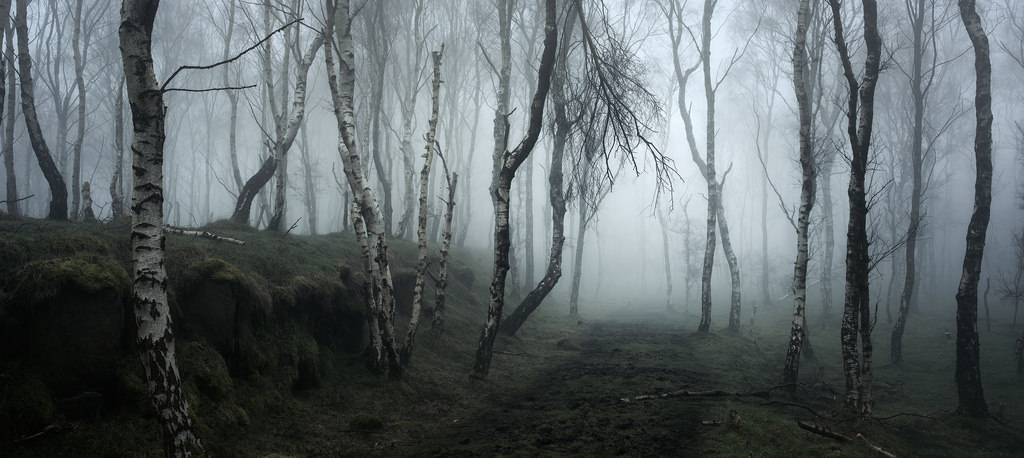 quiet-nymph:    by vuzephotography.co.uk  