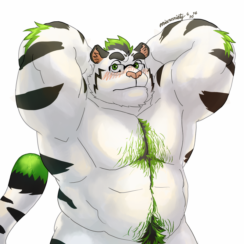 mixvariety:  Charlie White tiger Commission to charliedingwolf, thank you! 