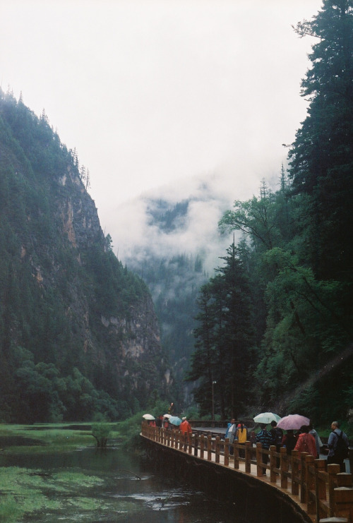 10bullets:  cross (by koe.inlow)
