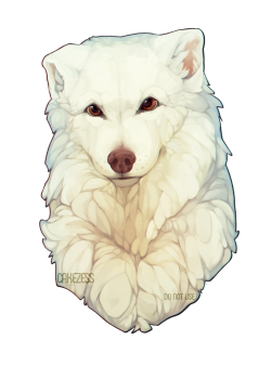 cakezess:  drawing for my mum for christmas quqthis is our samoyed that passed away a little over a year ago, his name was kenai and we got him from a rescue shelter, he had one floppy ear and a spotty nose &lt;3 you do not have permission to use this