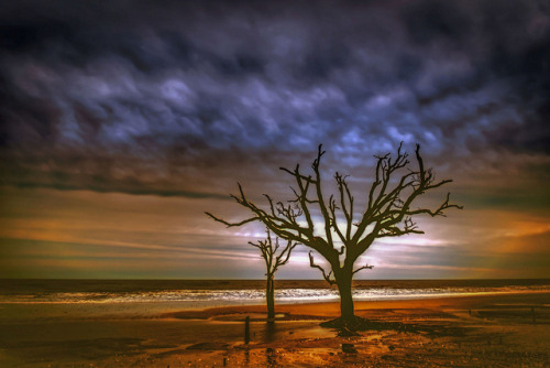 Boneyard Beach by j/bimages on Flickr.