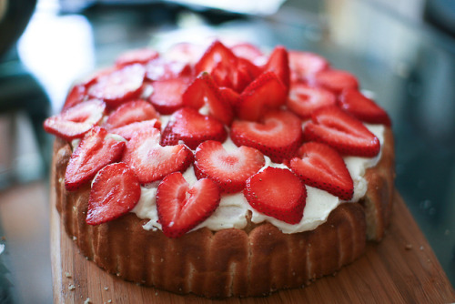 XXX vintagefoods:  *strawberry shortcake by Nadia photo