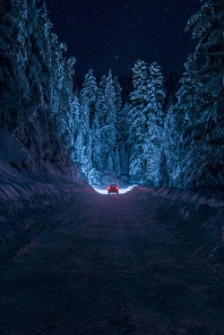 bluepueblo:  Snowy Night, Bulgaria photo via anna 