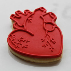 fyeahfoodsmut:  “Anatomical Hearts Valentine